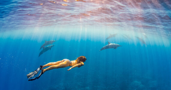 a woman snorkeling in hawaii with sea turtles