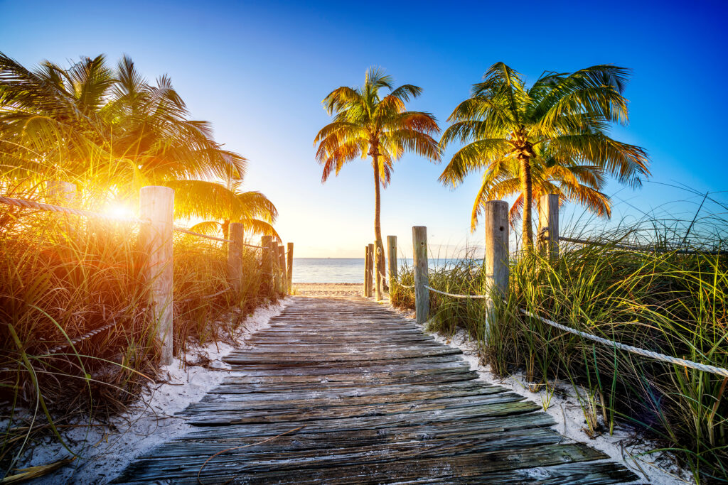 a view of a sandy boardwalk on a beach in florida