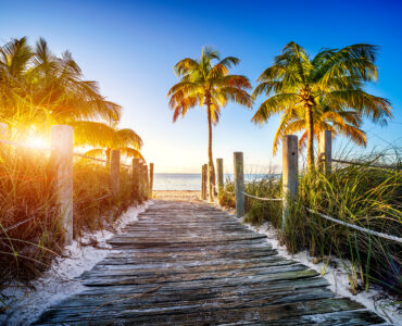 a view of a sandy boardwalk on a beach in florida