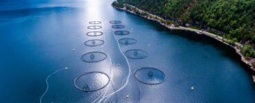 an aerial view of a salmon farm