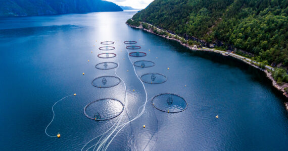 an aerial view of a salmon farm