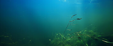 a view of freshwater