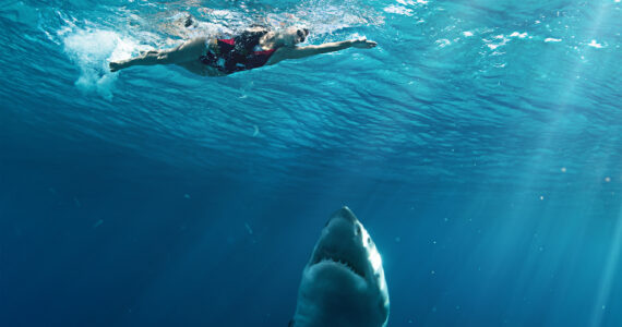 a shark swimming up to a person in the water, about to attack