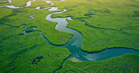 an aerial view of a long river in africa