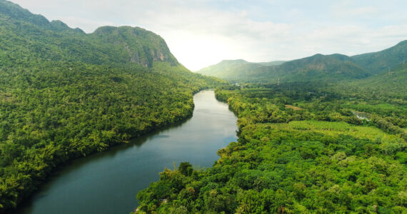 a long river in the jungle somewhere in asia