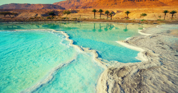 the salty shore of teh dead sea