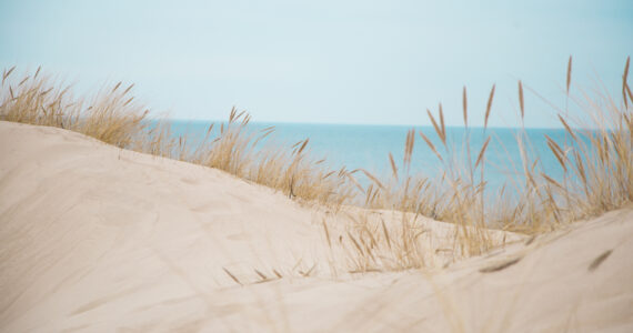 sand dunes on the beach