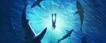 sharks circling around a swimmer in the ocean