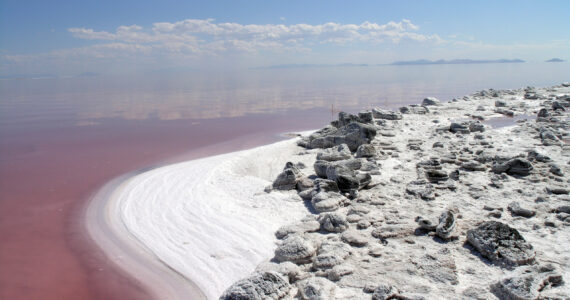 the shore of the great salt lake