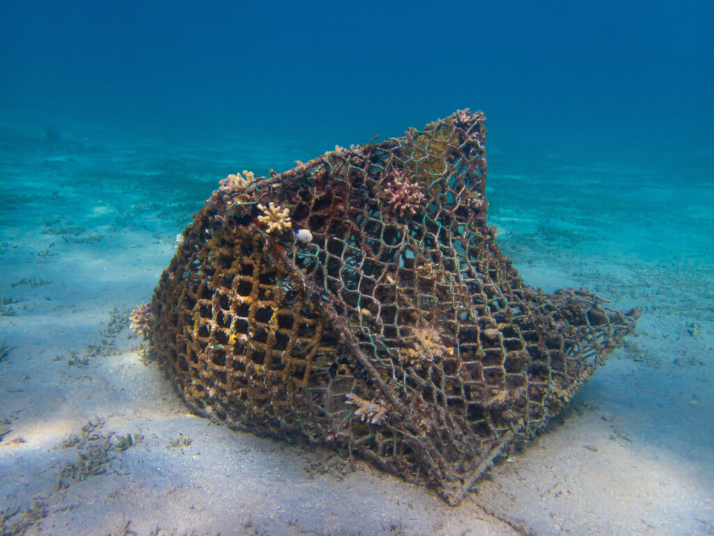 abandoned fihing gear on the seafloor