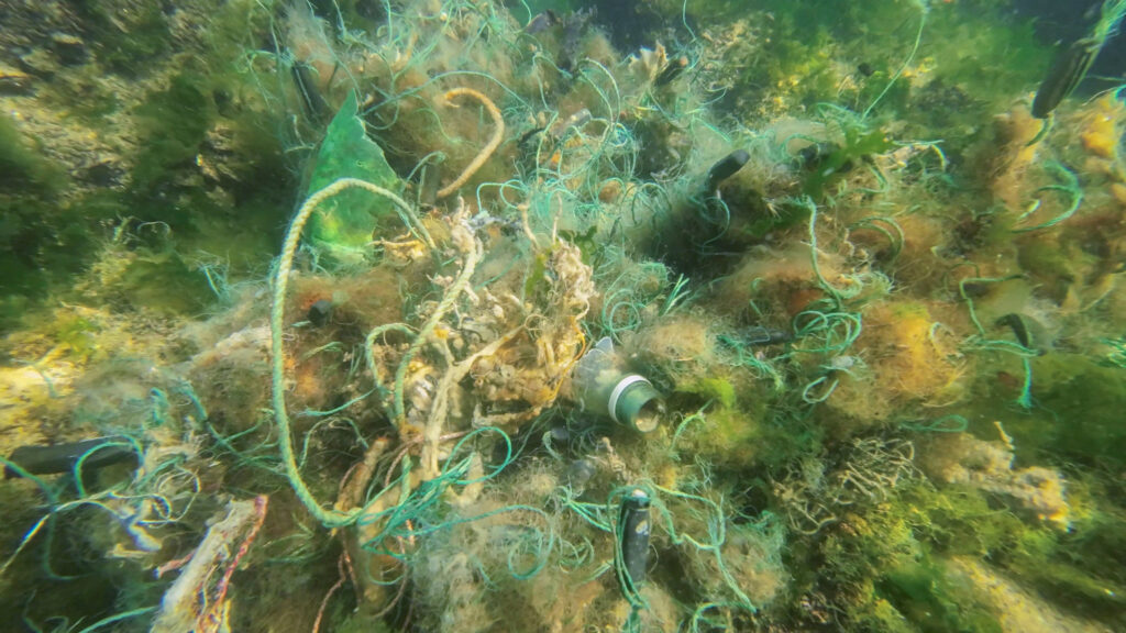 ghot equipment tangles in a coral reef