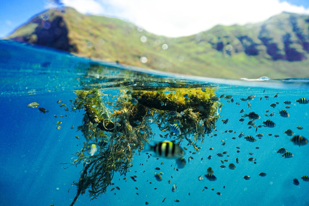 a floating patch of ghost gear