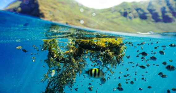 a floating patch of ghost gear