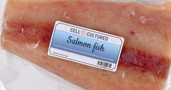 an illustration of lab grown salmon in a package