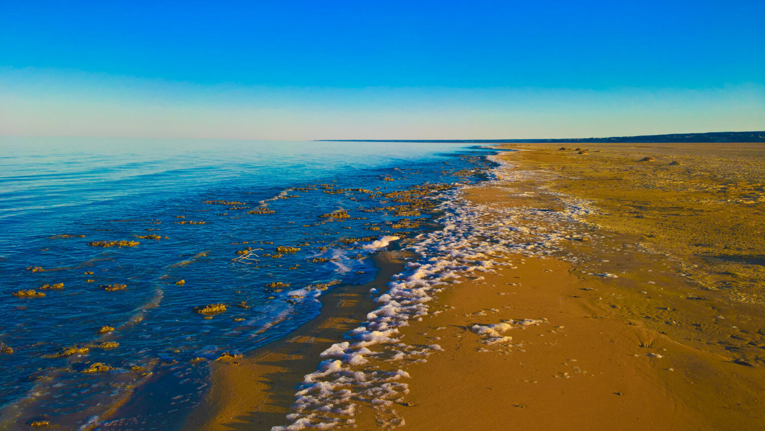 The Disappearance of the Aral Sea