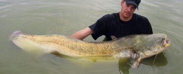 a man holding an enormous catfish