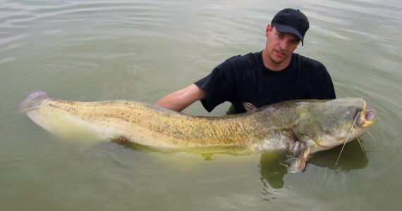 a man holding an enormous catfish