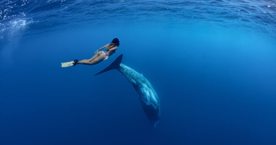 a woman diving near a sperm whale
