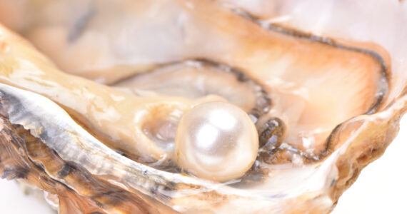 a pearl in an oyster