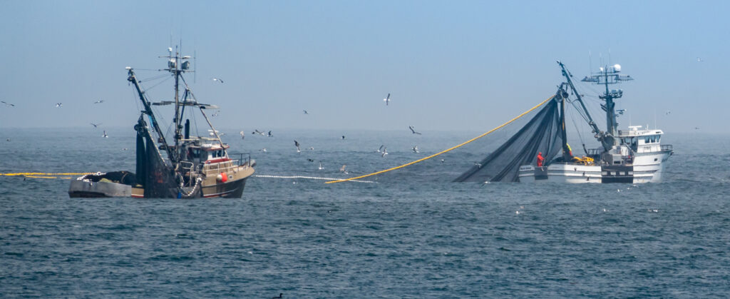two trawling boats in the ocean