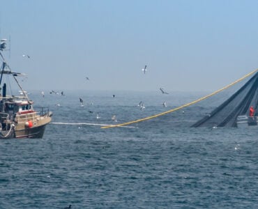 two trawling boats in the ocean