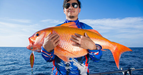 person holding an enormous goldfish
