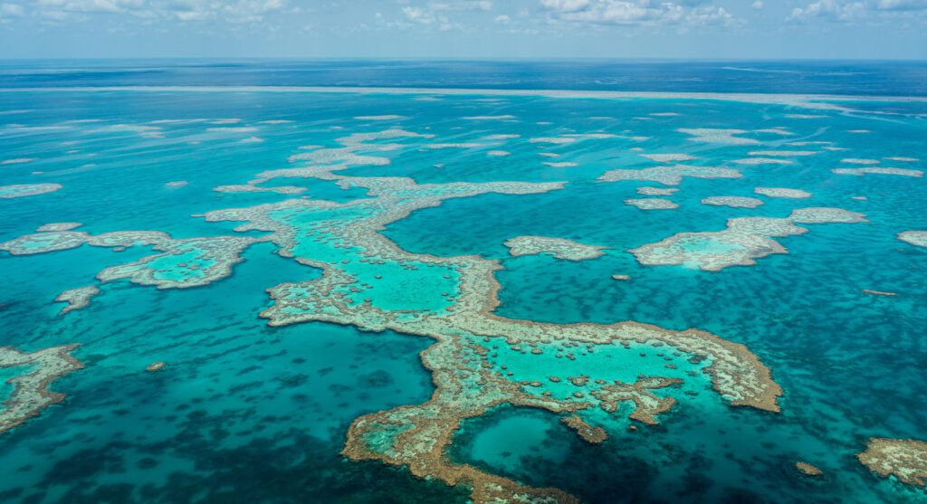 an aerial view of the great barrier reef