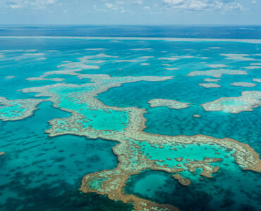 an aerial view of the great barrier reef