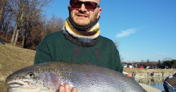 a man holding an enormous rainbow trout