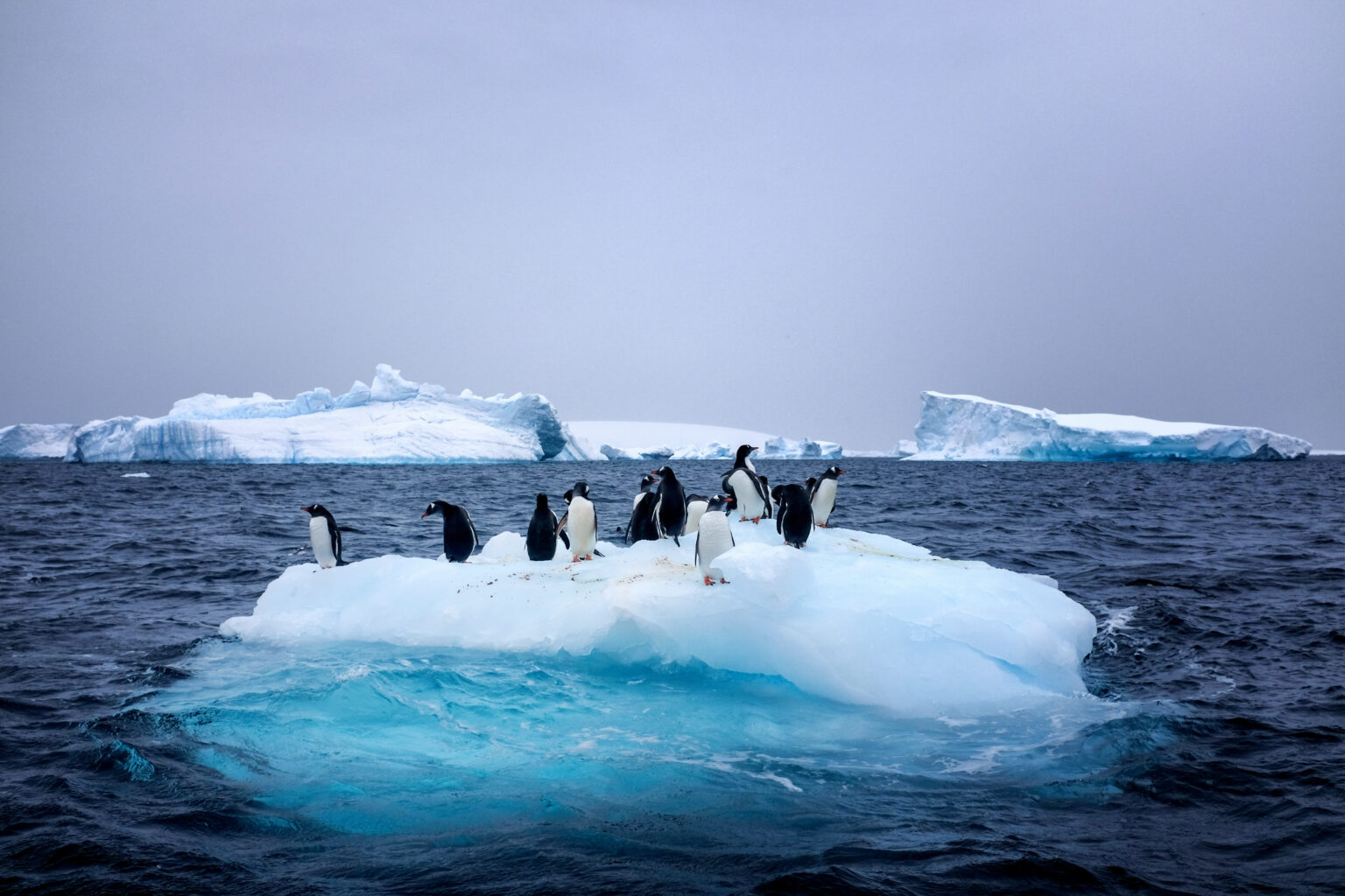Ocean Warming Example Ocean Warming Accelerating Rapidly In Hotspots Around the Globe ...