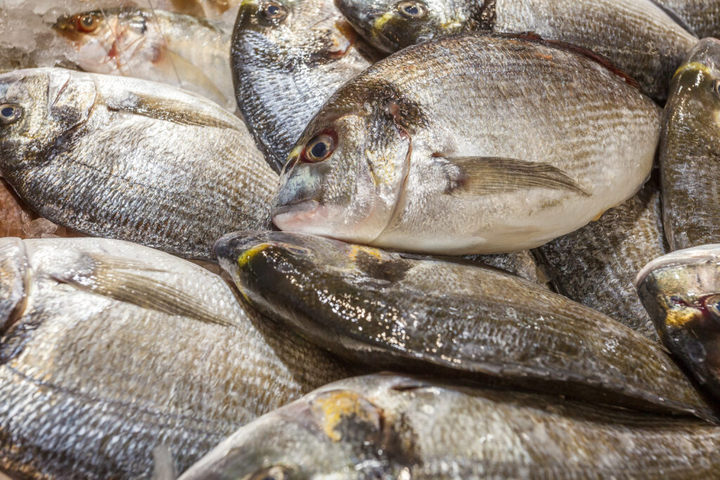 a pile of raw tilapia