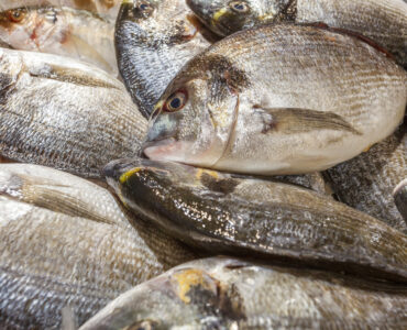 a pile of raw tilapia