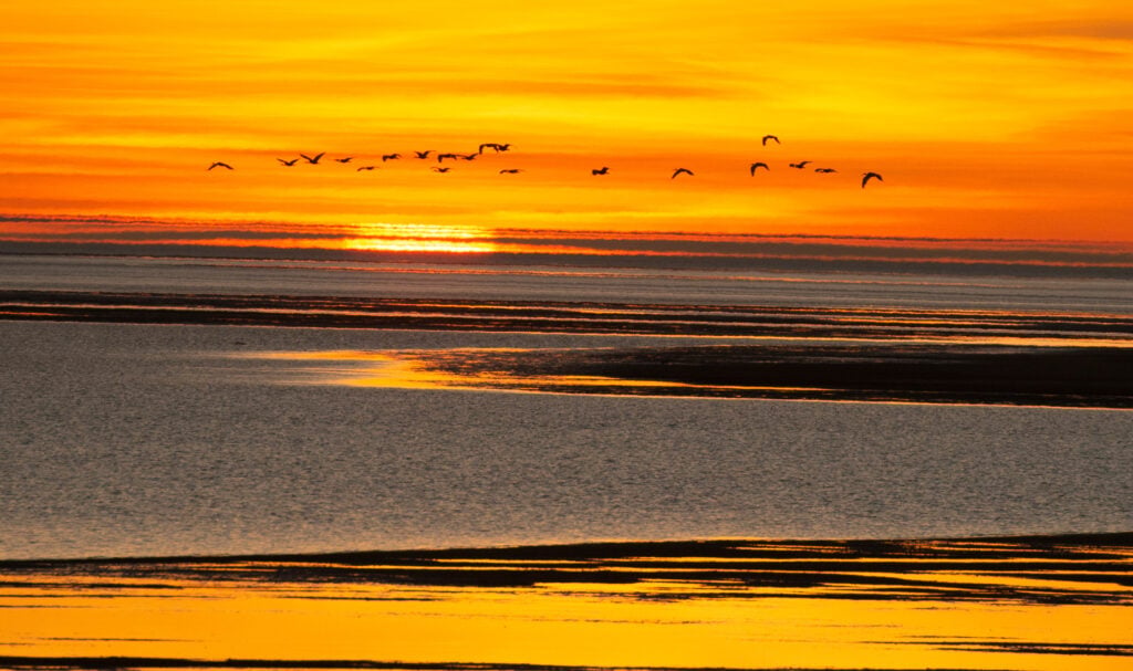the gulf of carpenteria at sunset