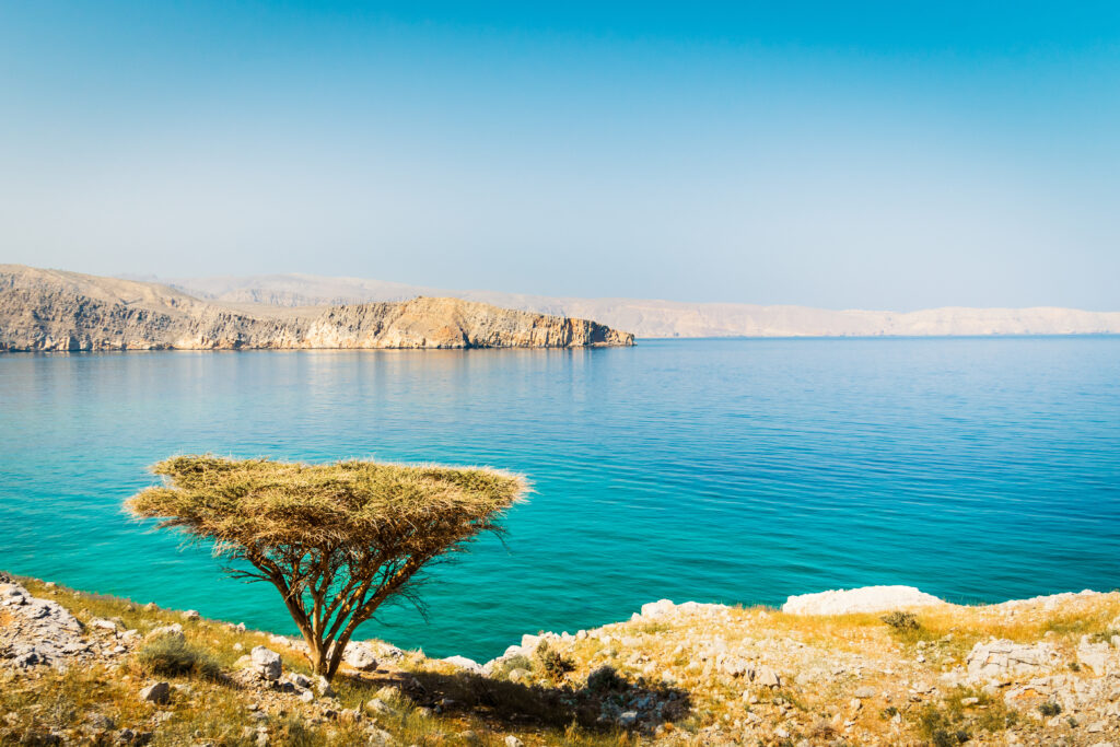 the persian gulf during the day