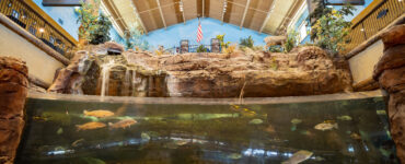 fish tank at bass pro shops