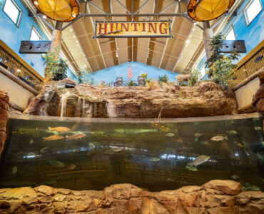 fish tank at bass pro shops