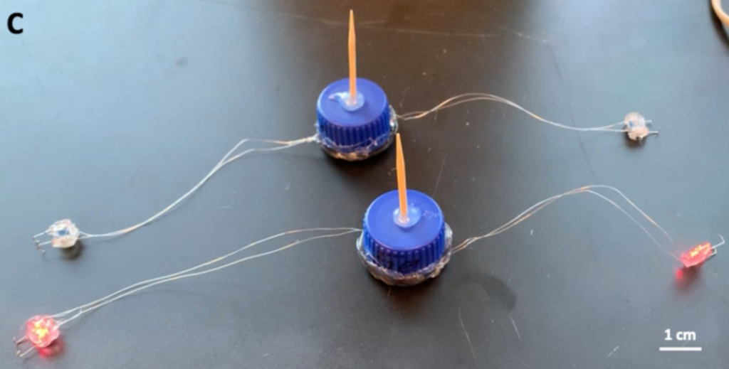 the wires and sensors used to create robotic jellyfish