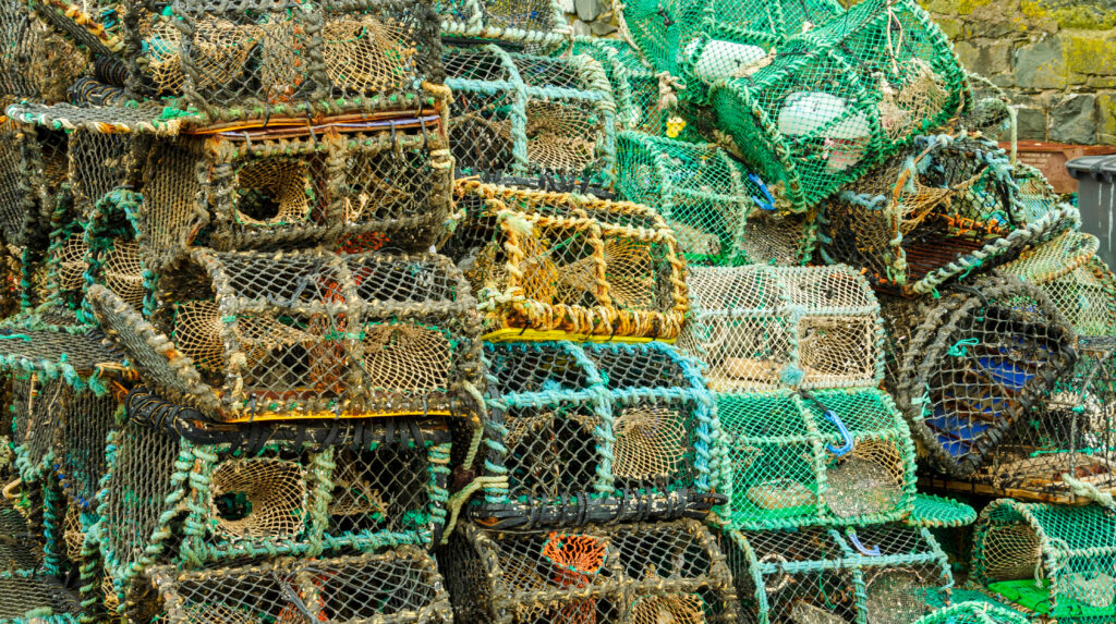a stack of lobster traps