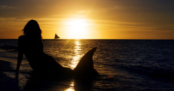 the silhouette of a mermaid on the beach