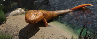 Tiktaalik extinct fish evolving to walk on land from the sea