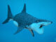 Meet the Prehistoric Shark With a Buzzsaw On Its Face