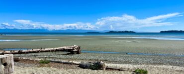 low tide at a beach