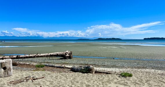 low tide at a beach