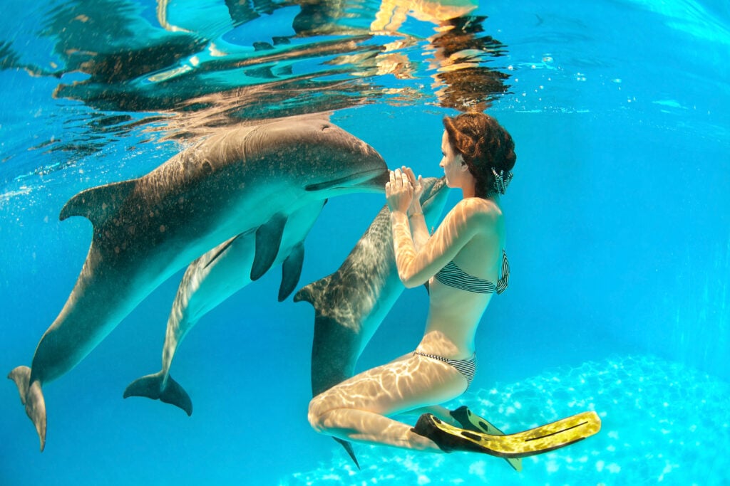 woman swimming with a dolphin