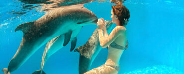 woman swimming with a dolphin