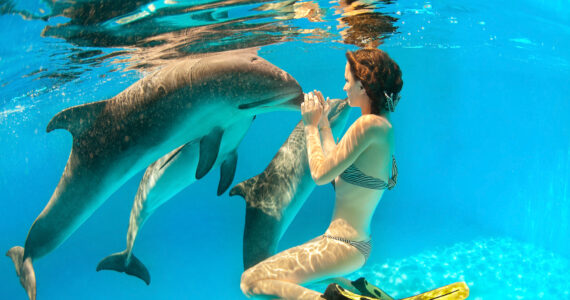 woman swimming with a dolphin