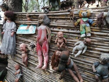 The Terrifying Island Of Dolls In Mexico That s Straight Out Of A the-terrifying-island-of-dolls-in-mexico-that-s-straight-out-of-a