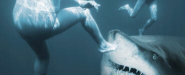shark about to attack a woman