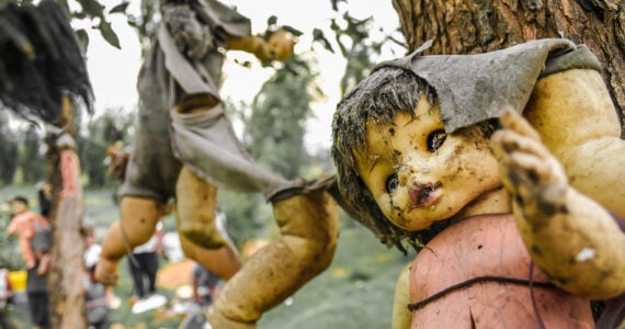 dolls in trees on the island of dolls in mexico