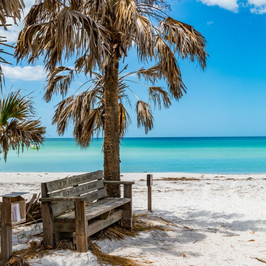 A quiet wooden bench sits under a palm tree on Caladesi Island’s soft white sand, overlooking calm turquoise water and Florida’s untouched natural beauty.